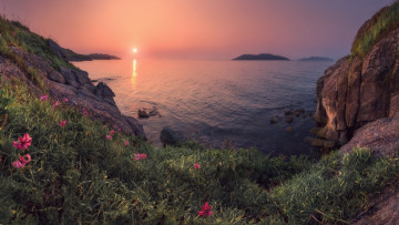 Картинка природа восходы закаты лето лилии закат море солнце