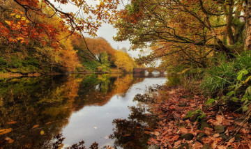 Картинка природа реки озера осень мостик