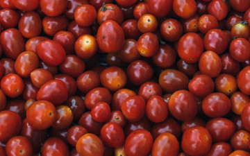 Картинка еда помидоры урожай много томаты