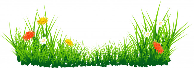 Обои картинки фото векторная графика, цветы , flowers, цветы, фон, трава