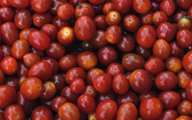 Обои картинки фото еда, помидоры, урожай, много, томаты