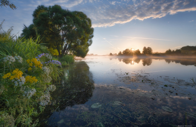 Обои картинки фото природа, восходы, закаты, трава, река, цветы, дерево, небо, вода