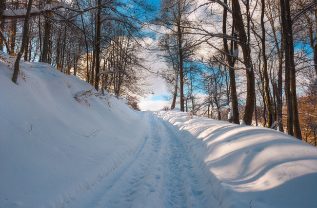 Обои картинки фото природа, дороги, деревья, снег, зима, дорога