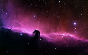Картинка туманность конская голова космос галактики туманности