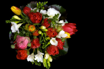 Картинка цветы букеты композиции фрезия тюльпаны ранункулюс