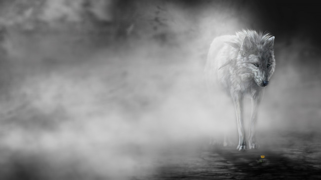 Обои картинки фото рисованные, животные, волки, туман