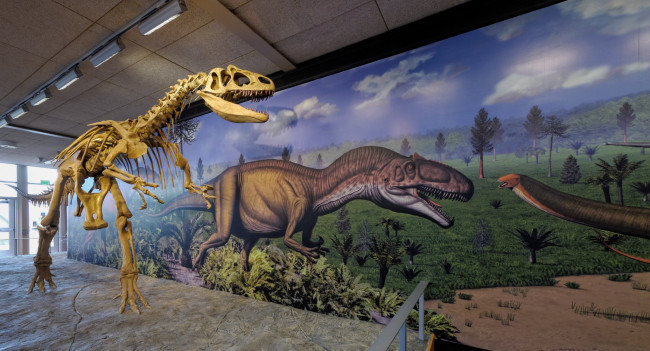 Обои картинки фото разное, кости, рентген, динозавр, выставочный, центр, скелет, штат, юта