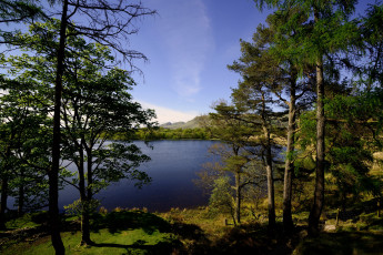 обоя природа, реки, озера, озеро, шотландия, glasgow, деревья