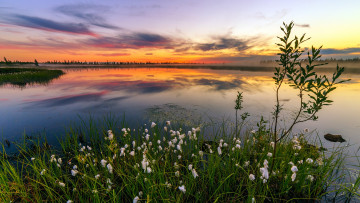 Картинка природа реки озера красота родной