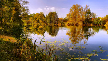 Картинка природа реки озера озеро осень тишина отражение