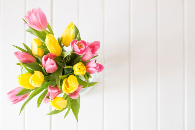 Обои картинки фото цветы, тюльпаны, желтые, fresh, розовые, весна, spring, yellow, букет, tender, tulips, pink, wood, flowers