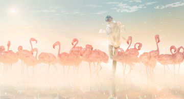 Картинка аниме животные +существа парень фламинго