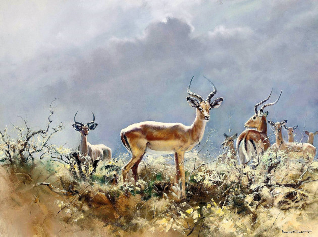 Обои картинки фото рисованное, donald grant, антилопы, стадо