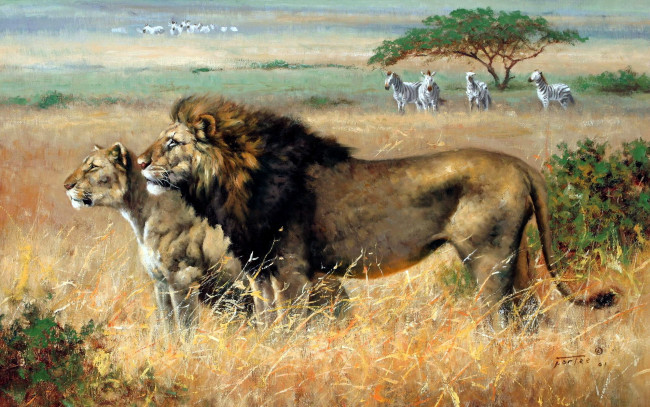 Обои картинки фото рисованное, eric forlee, львы, зебры, саванна