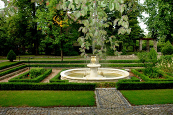 Картинка природа парк university poland botanical garden of wroclaw