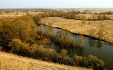 Картинка природа реки озера река деревья лкг
