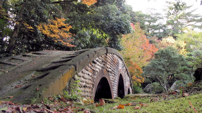 Обои картинки фото природа, парк, осень, деревья, листва, мост