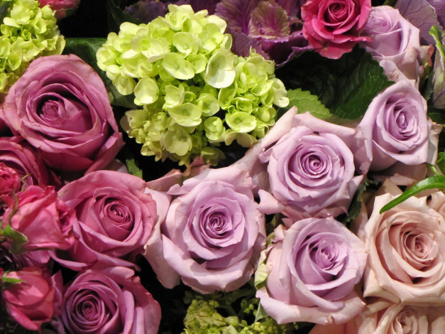 Обои картинки фото цветы, разные, вместе, розы, гортензия, бутоны