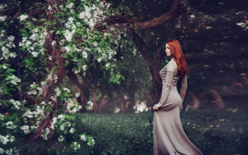 Картинка девушки -unsort+ рыжеволосые+и+другие трава деревья парк настроение прогулка фигура платье рыжая девушка цветущие