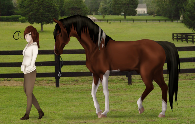 Обои картинки фото рисованное, животные,  лошади, ипподром, взгляд, девушка, забор, лошадь, фон