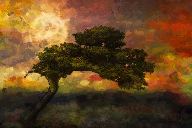 Обои картинки фото рисованное, живопись, пейзаж, дерево, природа, небо, облака, солнце