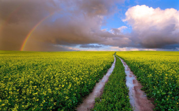 обоя природа, радуга, небо, поля, тучи, дорога