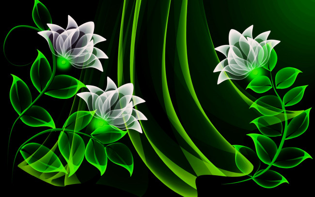 Обои картинки фото векторная графика, цветы , flowers, цветы, лепестки, фон