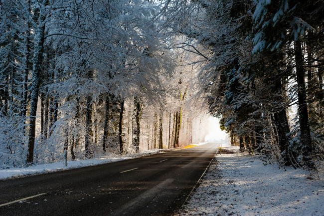 Обои картинки фото природа, дороги, зима, дорога, деревья