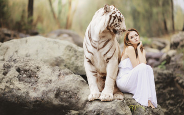 Картинка девушки -unsort+ азиатки сидит платье настроение девушка дружба азиатка белый тигр камни природа ситуация