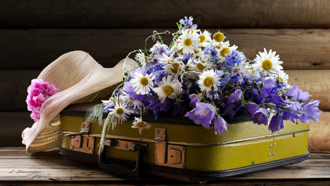 Обои картинки фото цветы, луговые , полевые,  цветы, колокольчики, шляпа, чемодан, васильки, ромашки