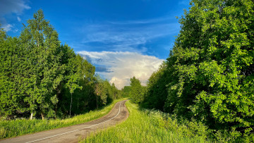 Картинка природа дороги дорога лето зелень небо деревья кустарники трава красота