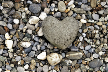 Картинка разное ракушки +кораллы +декоративные+и+spa-камни камни галька сердечко
