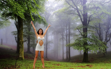 Картинка девушки -+брюнетки +шатенки лес туман брюнетка поза