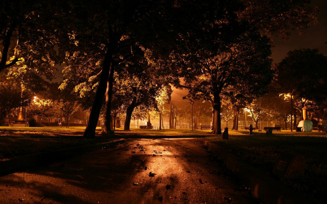 Обои картинки фото природа, парк, аллеи, деревья, вечер