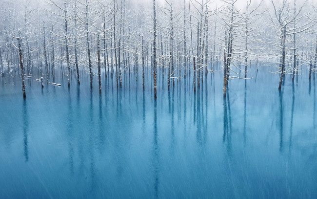 Обои картинки фото природа, зима, деревья, иней, вода, отражение