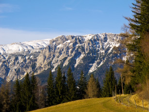 Картинка австрия природа горы лес дорога