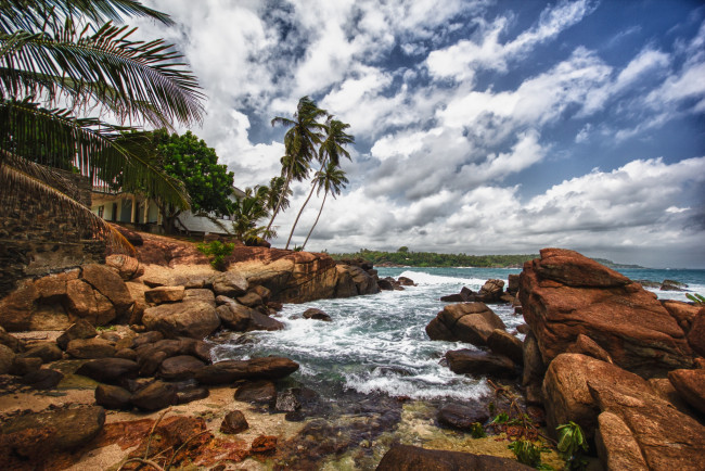 Обои картинки фото природа, тропики, небо, камни, вода, пальма