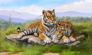 Картинка рисованные животные +тигры камни трава тигры olggah лежат