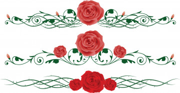 Картинка векторная+графика цветы+ flowers розы орнамент плети бутоны