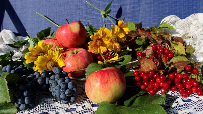 Обои картинки фото еда, фрукты,  ягоды, яблоки, калина, виноград