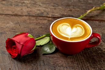 Картинка еда кофе +кофейные+зёрна роза бутон капучино рисунок