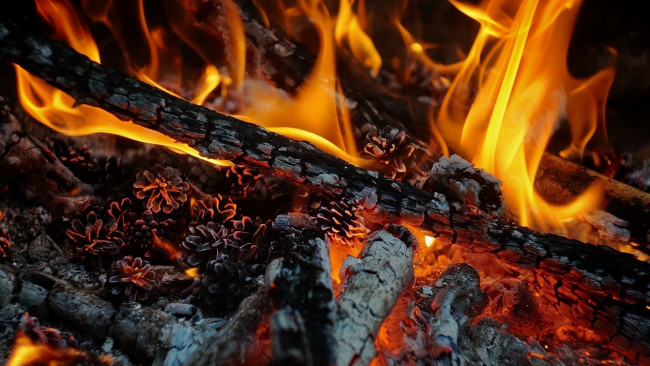 Обои картинки фото природа, огонь, пламя, шишки, костер