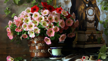 Картинка цветы петунии +калибрахоа букет