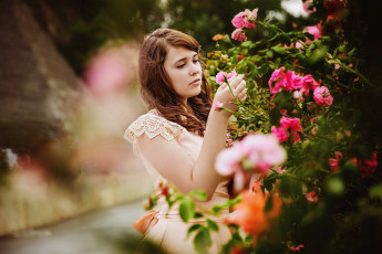 Картинка девушки -+брюнетки +шатенки шатенка платье кусты розы