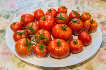 Картинка еда помидоры блюдо красные спелые