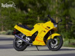 Картинка 2006 kawasaki ninja 250r мотоциклы