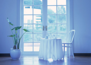 обоя интерьер, декор, отделка, сервировка, стол, стул, чашка, чайник, растения
