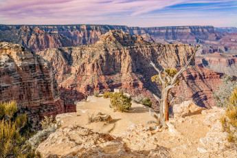 Картинка америка природа горы кустарники каньон