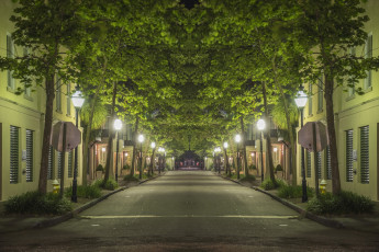Картинка природа дороги здания фонари деревья