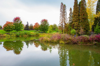 Картинка природа реки озера деревья кустарники водоем